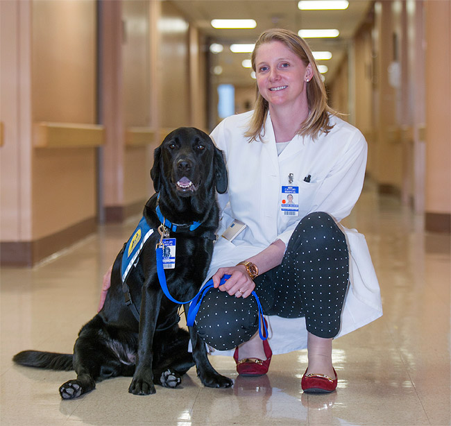 service animal hospice NYC