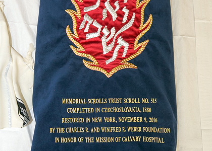 Torah Cover