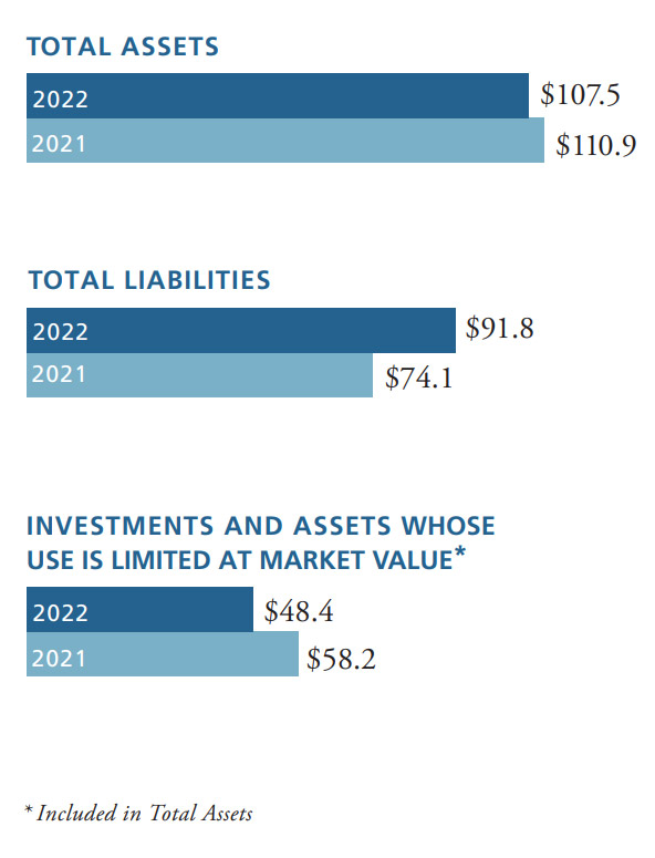 Assets Chart 1