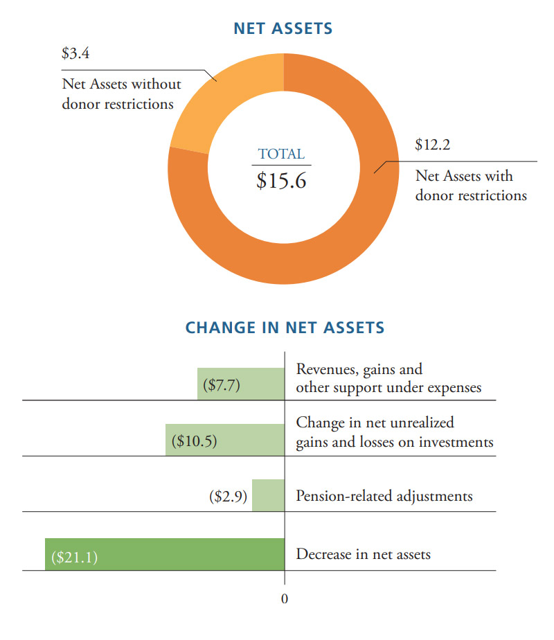 Net Assets Chart