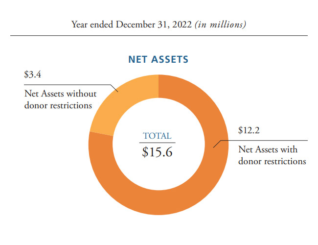 Net Assets Chart